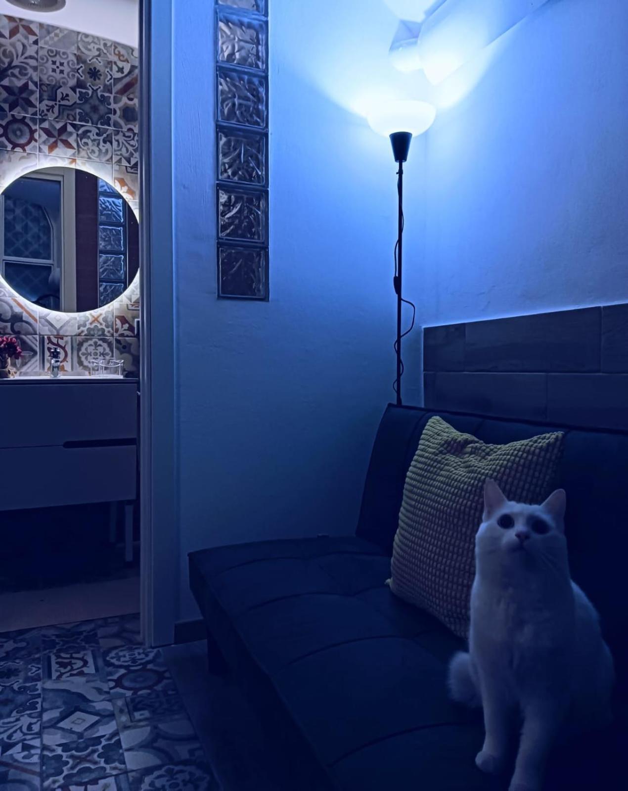The White Cat Villa Наполи Екстериор снимка