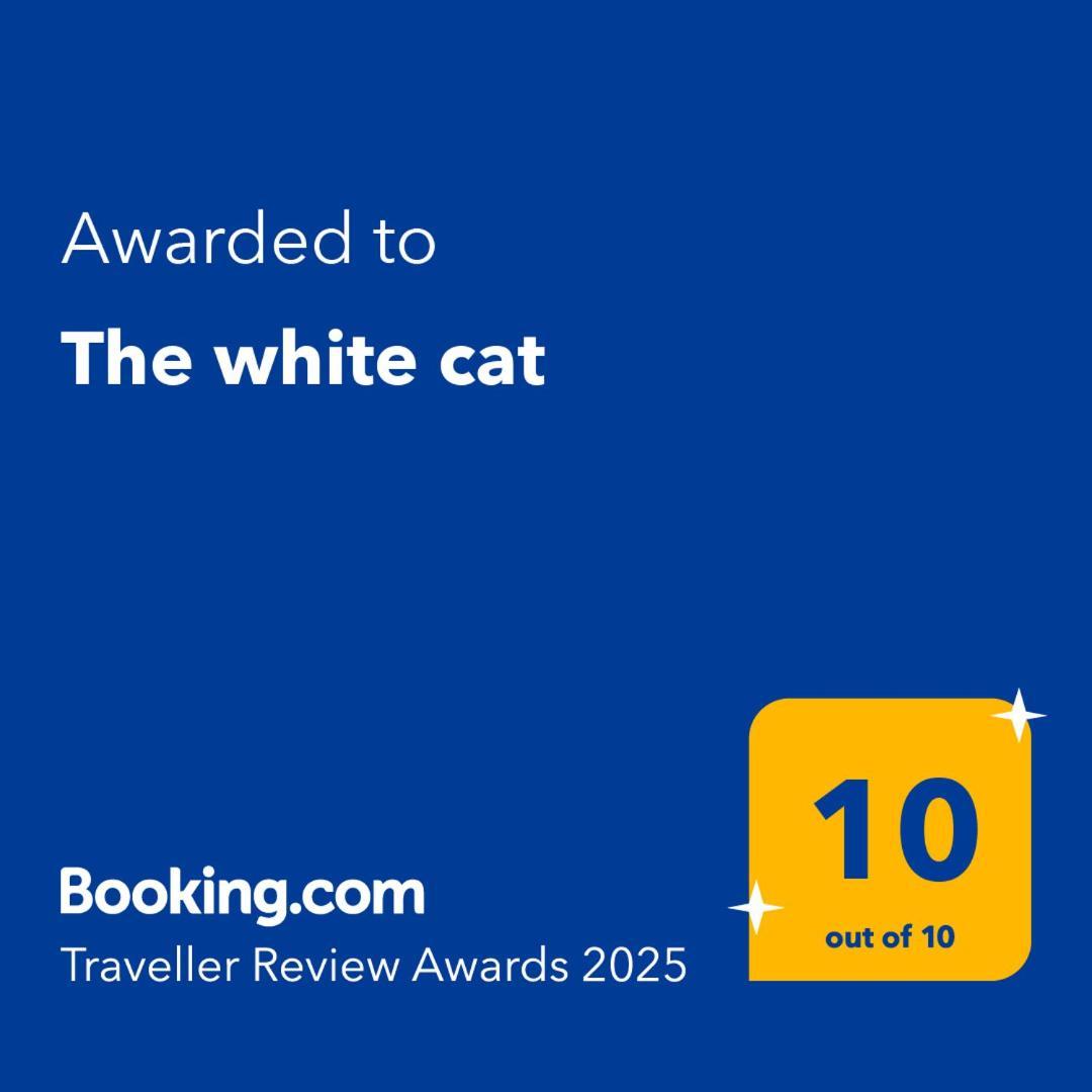 The White Cat Villa Наполи Екстериор снимка